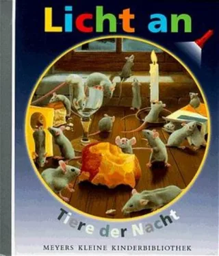 Licht an . . . Bd.4 Tiere der Nacht