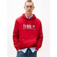 Tommy Jeans Hoodie TJM REG RWB DNA GRAPHIC HOODIE