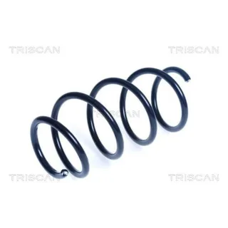 Triscan Feder vorne Opel Corsa E 875024204