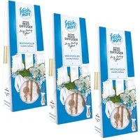 fresh & more Raumduft Duftvase (Spar-Set, 3-St., Lufterfrischer (35ml 3er Pack)