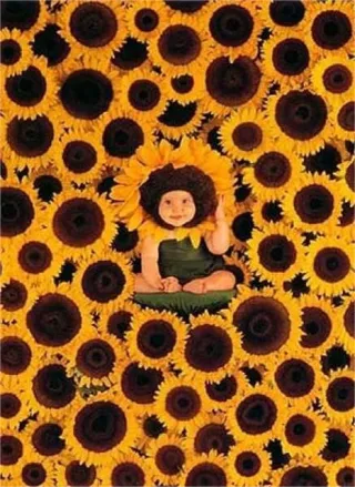 Sonnenblumen Puzzle 1000 Teile