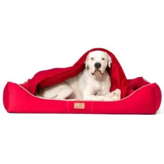 Tierlando RUDOLPH - Orthopädisches Hundebett inkl. Schonbezug mit Hundedecke dunkelrot 1,1 m, 25 cm, 90 cm