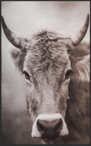 Fussmatte 7784 | Größe: 60 cm x 90 cm