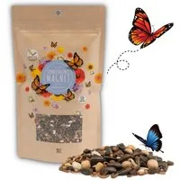 HappySeed Blumensamen Schmetterlingswiese Samen für eine buinte Blumenwiese (bunt), 0.2 kg, Bienenfreundlich