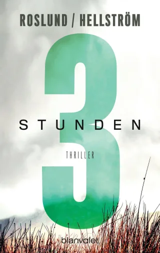 Drei Stunden: Thriller (Piet Hoffmann Band 3)