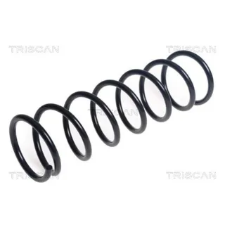 Triscan Feder vorne Nissan Micra K14