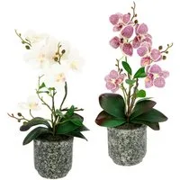 Kunstpflanze Orchidee, OTTO home, Höhe 38 cm, Mit Blättern und Luftwurzeln, im Topf aus Keramik, 2er Set