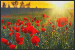 Fussmatte Mohn Feld 4546 | Größe: 60 cm x 45 cm