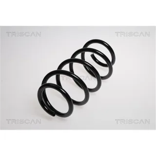 Triscan Feder vorne Ford S-Max 875016056