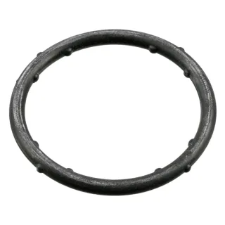 Febi Dichtung f?r K?hlmittelflansch Audi Seat Skoda VW 18766