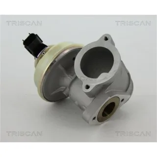 Triscan AGR-Ventil Ford Mondeo 3 2,0 2,2 TDCi