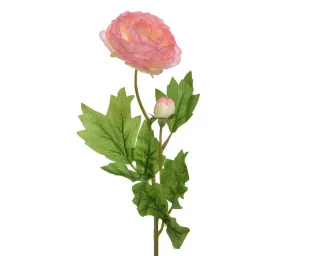 10 cm
