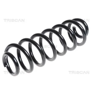 Triscan Feder hinten VW Passat B6 B7 1,4
