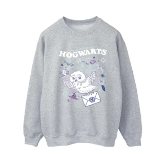Harry Potter - "Letter From Hogwarts" Sweatshirt für Damen (Grau)