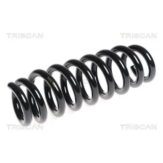 Triscan Feder hinten BMW 3er E91 Touring 875011122