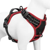 LuxusKollektion Hunde-Sicherheitsgeschirr Sicherheitsgeschirr verstellbar reflektierend Schwarz S