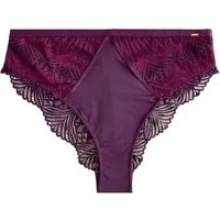 LIPSY High-Waist-String Lipsy Hochbund-Spitzenslip, Tanga (1-St)