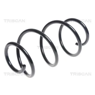 Triscan Feder vorne Kia Ceed Pro 1,6 87504399