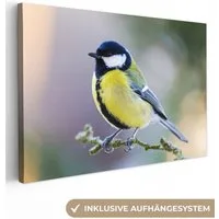 OneMillionCanvasses® Leinwandbild Kohlmeise - Vogel - Zweig, Fotodruck (1 St), Leinwand Bilder Klein, Wand Dekoration Aesthetic 30x20 cm