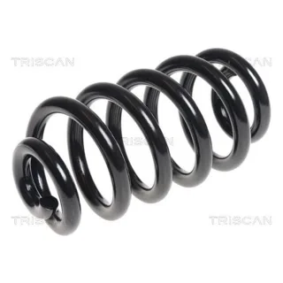 Triscan Feder hinten Audi A6 C6 875029354