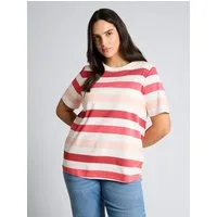 TOM TAILOR PLUS T-Shirt T-Shirt Plus Size - T-Shirt aus Baumwolle