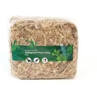 sphagnum-shop.com Terrarien-Substrat Sphagnum Moos aus Chile für Terrarium und Orchideen, Chilenische Premium-Qualität, Ideal für Pflanzenpflege & Terraristik