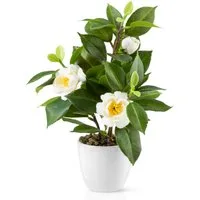 Kunstblume Kunstblumen im Topf, Künstliche Blumen wie echt, Deko Blumen Geranie, Kamelie, Orchidee, Azalee, Veilchen, PASCH, Hochwertiger Keramiktopf