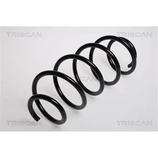 Triscan Feder vorne Ford Mondeo 3 2,5 3,0 V6