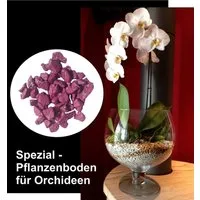 colomi Pflanzgranulat Spezial Pflanzboden für Orchideen - patentiert fuchsia, 1 Liter