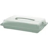 ROTHO Kuchentransportbox Rotho Partybutler JOHN medium mistletoe grün, Kunststoff