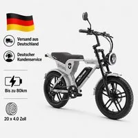 APE RYDER E-Bike Trekkingrad 20*4 Zoll Fatbike, 48V 15Ah Akku, bis 80 km, Shimano 7-Gang, 7 Gang, Heckmotor, 720 Wh, Fahrradbeleuchtung, Ständer, Klingel, Hochleistungsakku