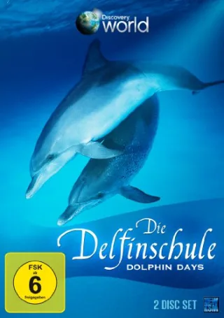 Die Delfinschule (2 DVDs)