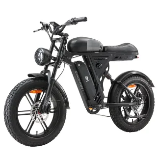 [EU DIRECT] SINOHON AB20 Dual Battery Electric Bike 48V 36AH(18AH*2) 1000W Motor Recommended Top Speed 25KM/H 20*4.0 Inc