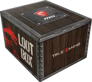 MSI Loot Box für GE-/GS-/GT-Serie (Level 2) | 957-1xxxxe-066 |