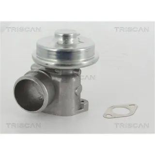 Triscan AGR-Ventil Ford Mondeo Transit