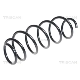 Triscan Feder vorne Citroen C3 875028189
