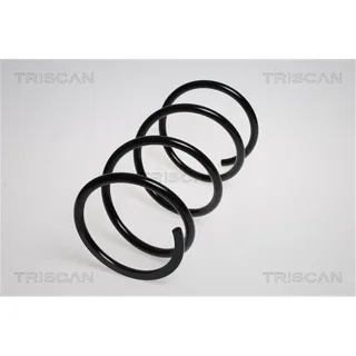 Triscan Feder vorne Mitsubishi Grandis 2,4