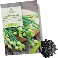 Growgreens Kräutersamen BIO Schnittknoblauch Samen - Küchenkräuter Saatgut (50 Korn)