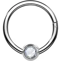 Taffstyle Nasenpiercing Titan Septum Segment Ring Piercing Clicker Scharnier Kristall Kugel, Nasenpiercing Nasenring Ohrpiercing Ohr Nase Tragus Helix Brust Intim