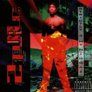 Strictly 4 My N.I.G.G.A.Z. [Audio CD] 2Pac