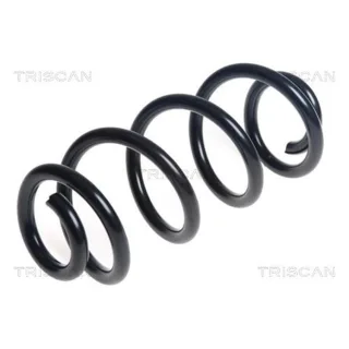 Triscan Feder hinten Audi A4 A5 875029498