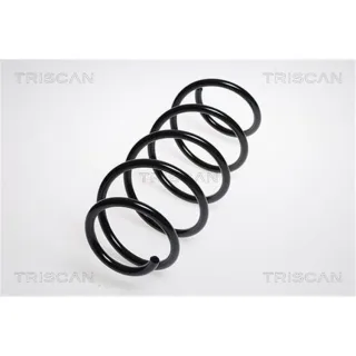Triscan Feder vorne Mercedes A-Klasse W169 875023102