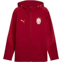PUMA Sweatjacke PUMA Galatasaray Istanbul Evostripe Kapuzenjacke Baumwolle