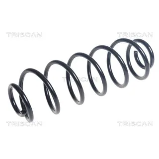 Triscan Feder hinten Citroen C-Elysee C3