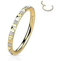 Taffstyle Nasenpiercing Septum Piercing Ring Segmentring Clicker Scharnier Kristalle Pave, Nasenpiercing Nasenring Ohrpiercing Ohr Nase Tragus Helix Brust Intim