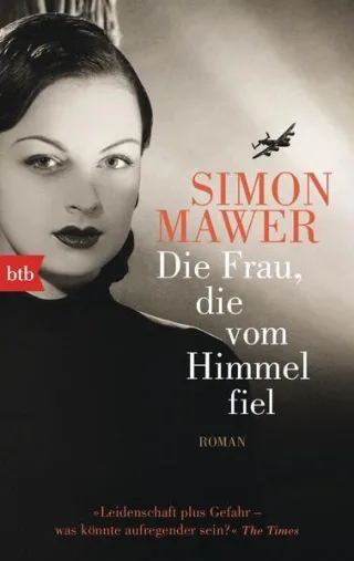 Die Frau die vom Himmel fiel: Roman