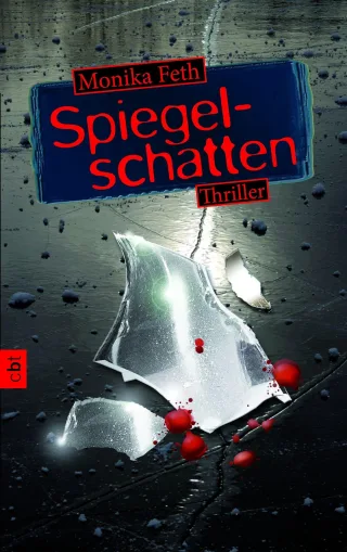 Spiegelschatten (Die Romy-Thriller Band 2)