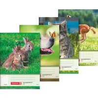 Baier & Schneider Schulheft Hausaufgabenheft A5 48 Blatt 96 Seiten Tiere sortiert