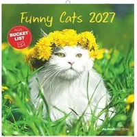 Wandkalender Funny Cats 2027