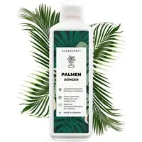 Silberkraft Pflanzendünger Palmendünger flüssig – Spezialdünger für Palmen, Yucca & Zimmerpalmen, 1-St., 1 L, Spezialdünger für Palmen, Für sattes Grün & starke Wurzeln – Chloridarm & pflanzenschonend